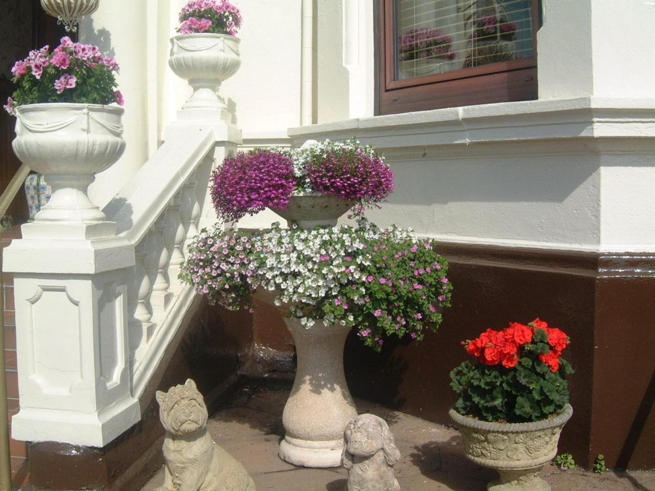 Manor House B And B 란 외부 사진